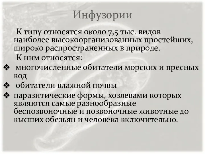 Инфузории К типу относятся около 7,5 тыс. видов наиболее высокоорганизованных простейших,