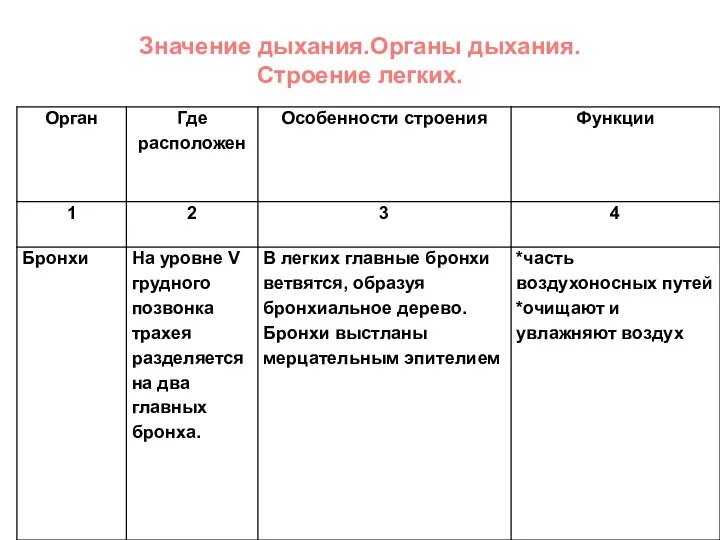 Значение дыхания.Органы дыхания. Строение легких.