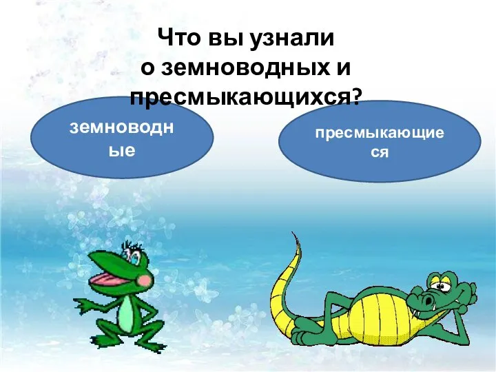 земноводные пресмыкающиеся Что вы узнали о земноводных и пресмыкающихся?