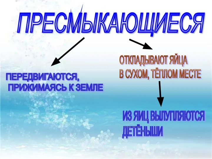 ПЕРЕДВИГАЮТСЯ, ПРИЖИМАЯСЬ К ЗЕМЛЕ ОТКЛАДЫВАЮТ ЯЙЦА В СУХОМ, ТЁПЛОМ МЕСТЕ ИЗ ЯИЦ ВЫЛУПЛЯЮТСЯ ДЕТЁНЫШИ ПРЕСМЫКАЮЩИЕСЯ