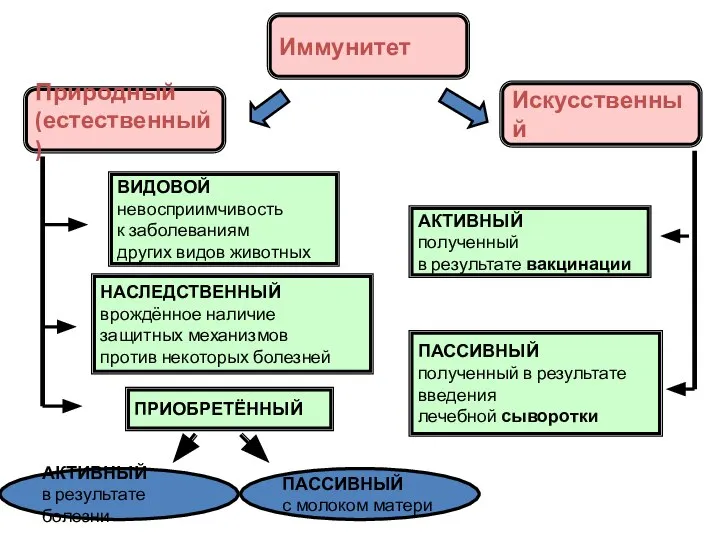 Иммунитет Искусственный Природный (естественный) ВИДОВОЙ невосприимчивость к заболеваниям других видов животных