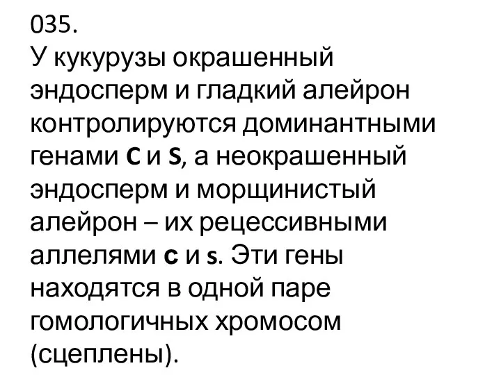 035. У кукурузы окрашенный эндосперм и гладкий алейрон контролируются доминантными генами