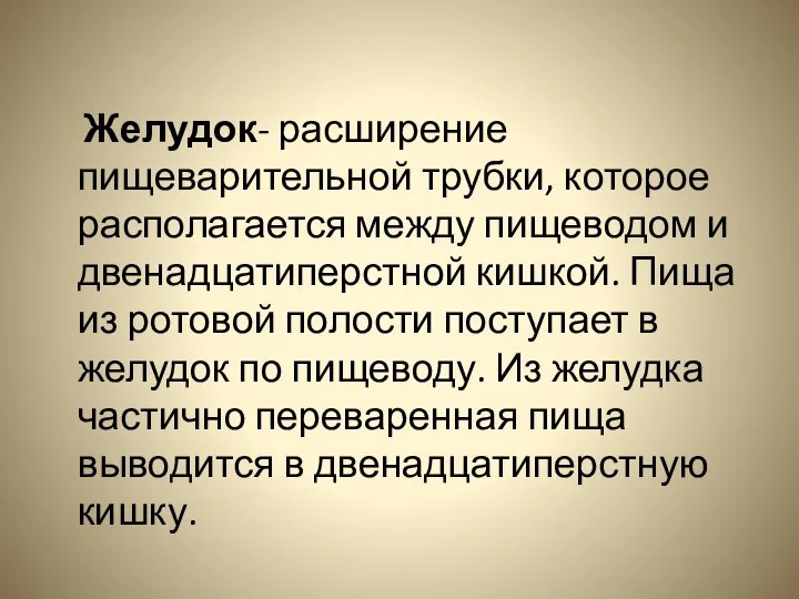 Желудок- расширение пищеварительной трубки, которое располагается между пищеводом и двенадцатиперстной кишкой.