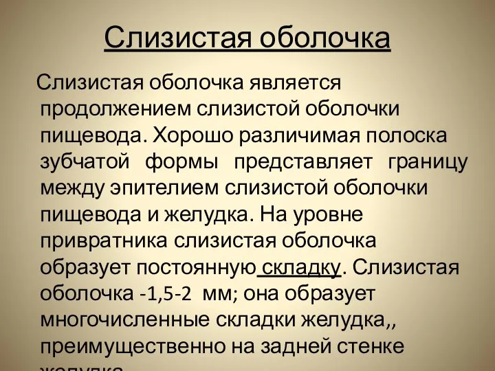 Слизистая оболочка Слизистая оболочка является продолжением слизистой оболочки пищевода. Хорошо различимая