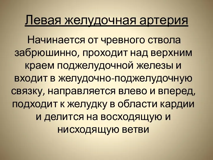 Левая желудочная артерия Начинается от чревного ствола забрюшинно, проходит над верхним