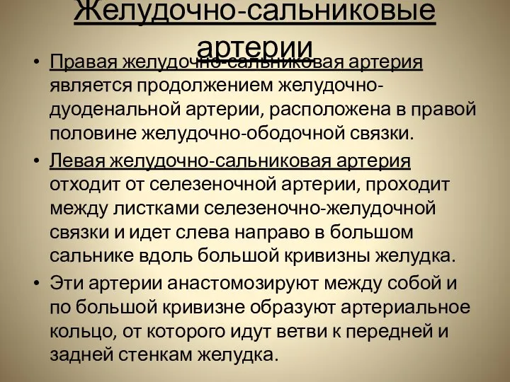 Желудочно-сальниковые артерии Правая желудочно-сальниковая артерия является продолжением желудочно-дуоденальной артерии, расположена в