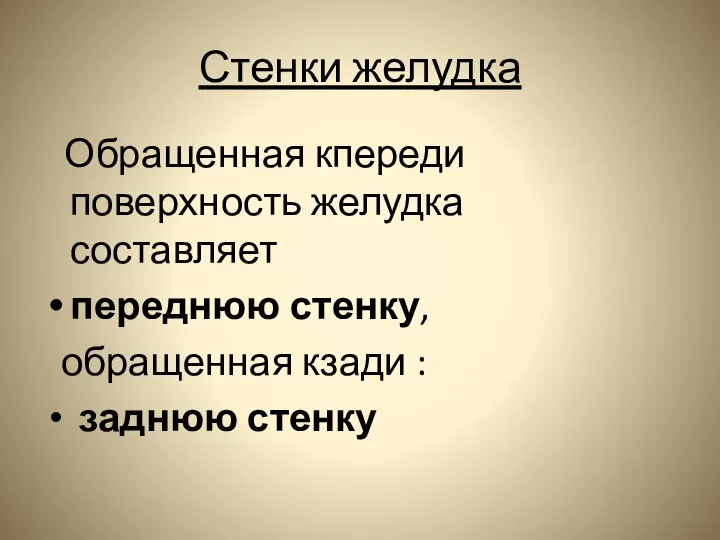 Стенки желудка Обращенная кпереди поверхность желудка составляет переднюю стенку, обращенная кзади : заднюю стенку