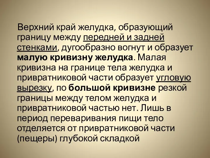 Верхний край желудка, образующий границу между передней и задней стенками, дугообразно