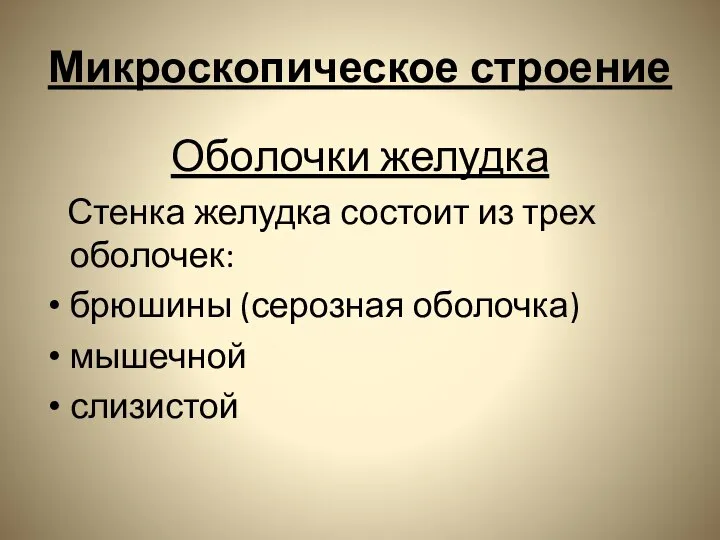 Микроскопическое строение Оболочки желудка Стенка желудка состоит из трех оболочек: брюшины (серозная оболочка) мышечной слизистой