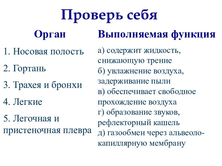 Орган 1. Носовая полость 2. Гортань 3. Трахея и бронхи 4.