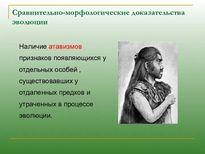 Наличие атавизмов признаков появляющихся у отдельных особей ,существовавших у отдаленных предков