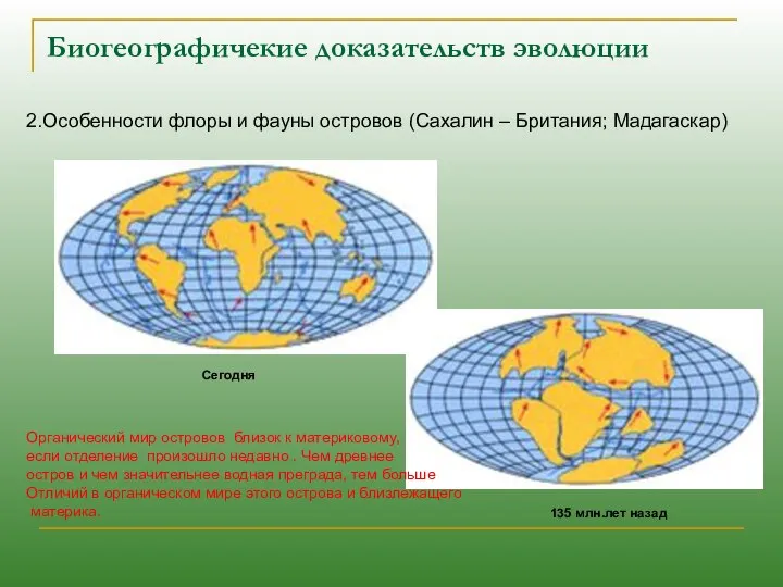 Биогеографичекие доказательств эволюции 2.Особенности флоры и фауны островов (Сахалин – Британия;