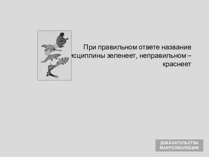 При правильном ответе название дисциплины зеленеет, неправильном – краснеет ДОКАЗАТЕЛЬСТВА МАКРОЭВОЛЮЦИИ