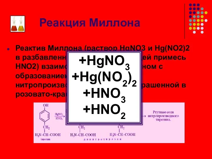 Реакция Миллона Реактив Миллона (раствор HgNO3 и Hg(NO2)2 в разбавленной HNO3,