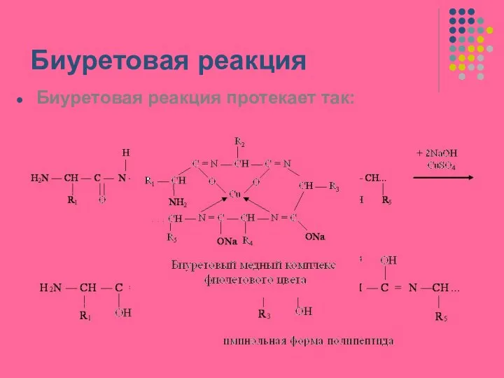 Биуретовая реакция Биуретовая реакция протекает так: +CuSO4 +NaOH