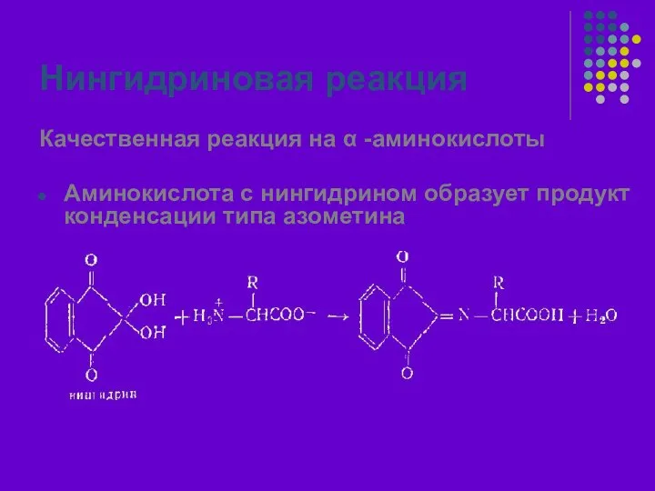 Нингидриновая реакция Качественная реакция на α -аминокислоты Аминокислота с нингидрином образует продукт конденсации типа азометина