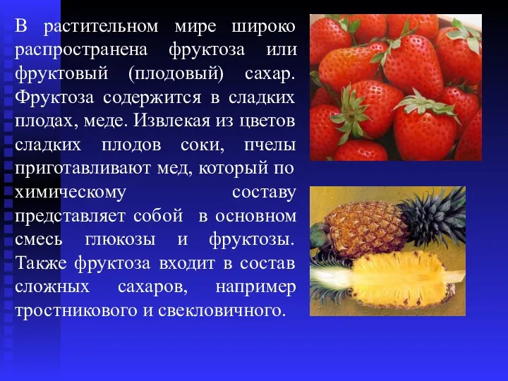 В растительном мире широко распространена фруктоза или фруктовый (плодовый) сахар. Фруктоза