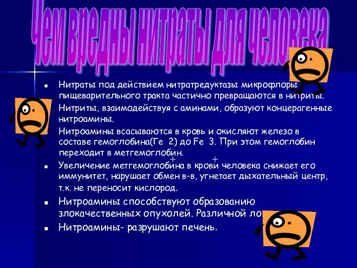 Нитраты под действием нитратредуктазы микрофлоры пищеварительного тракта частично превращаются в нитриты.