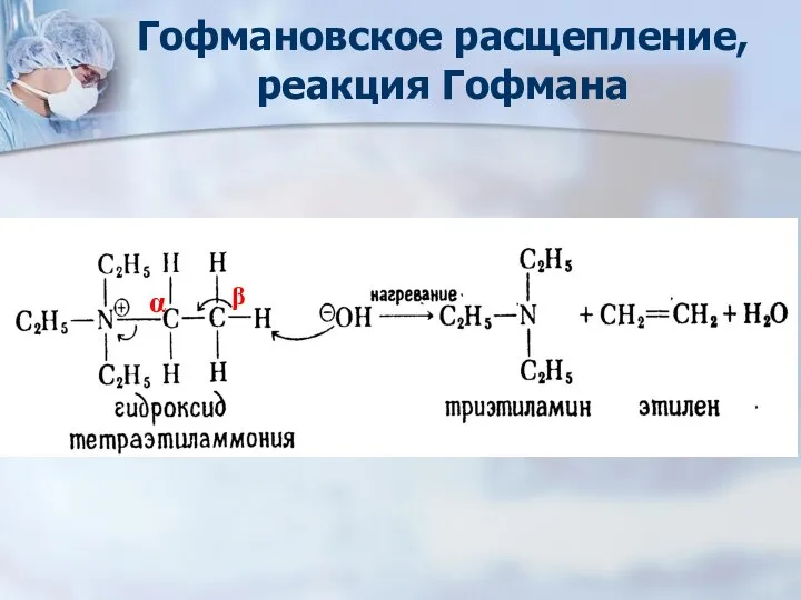 Гофмановское расщепление, реакция Гофмана α β