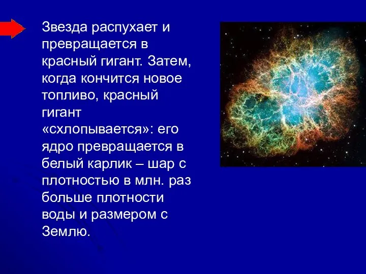 Звезда распухает и превращается в красный гигант. Затем, когда кончится новое