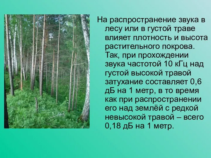 На распространение звука в лесу или в густой траве влияет плотность