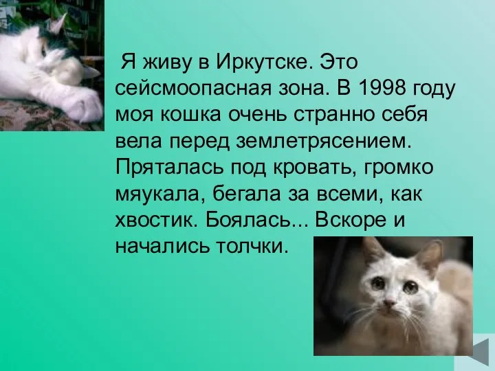 Я живу в Иркутске. Это сейсмоопасная зона. В 1998 году моя