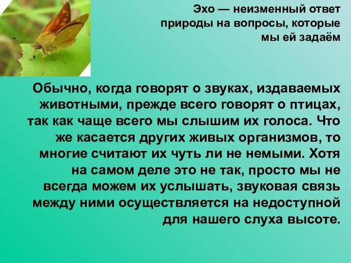 Эхо — неизменный ответ природы на вопросы, которые мы ей задаём