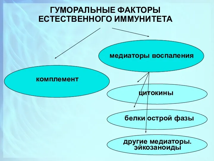 ГУМОРАЛЬНЫЕ ФАКТОРЫ ЕСТЕСТВЕННОГО ИММУНИТЕТА комплемент медиаторы воспаления цитокины белки острой фазы другие медиаторы. эйкозаноиды