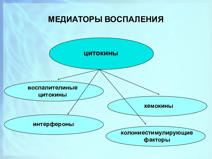 МЕДИАТОРЫ ВОСПАЛЕНИЯ цитокины воспалителиные цитокины интерфероны хемокины колониестимулирующие факторы