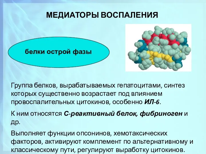 МЕДИАТОРЫ ВОСПАЛЕНИЯ белки острой фазы Группа белков, вырабатываемых гепатоцитами, синтез которых