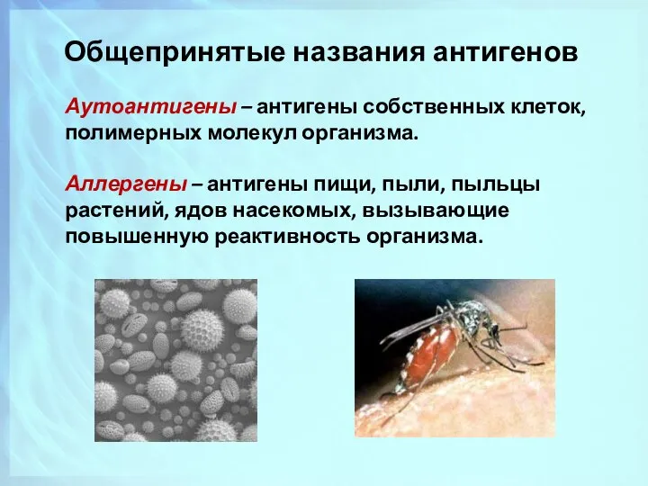 Аутоантигены – антигены собственных клеток, полимерных молекул организма. Аллергены – антигены