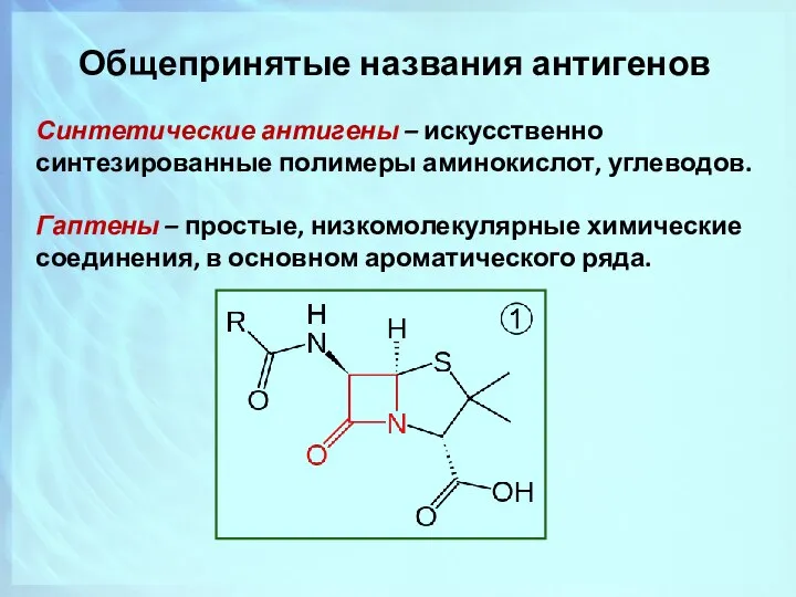 Синтетические антигены – искусственно синтезированные полимеры аминокислот, углеводов. Гаптены – простые,