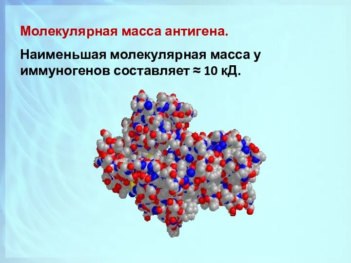 Молекулярная масса антигена. Наименьшая молекулярная масса у иммуногенов составляет ≈ 10 кД.