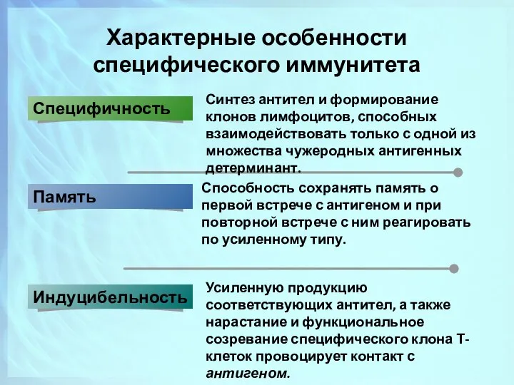 Характерные особенности специфического иммунитета Синтез антител и формирование клонов лимфоцитов, способных