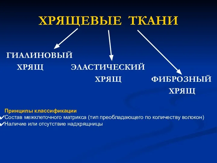 ХРЯЩЕВЫЕ ТКАНИ ГИАЛИНОВЫЙ ХРЯЩ ЭЛАСТИЧЕСКИЙ ХРЯЩ ФИБРОЗНЫЙ ХРЯЩ Принципы классификации Состав