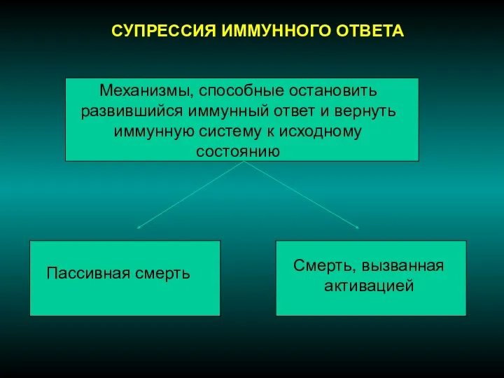 СУПРЕССИЯ ИММУННОГО ОТВЕТА Механизмы, способные остановить развившийся иммунный ответ и вернуть