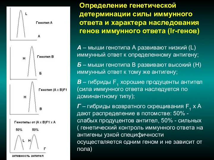 Определение генетической детерминации силы иммунного ответа и характера наследования генов иммунного