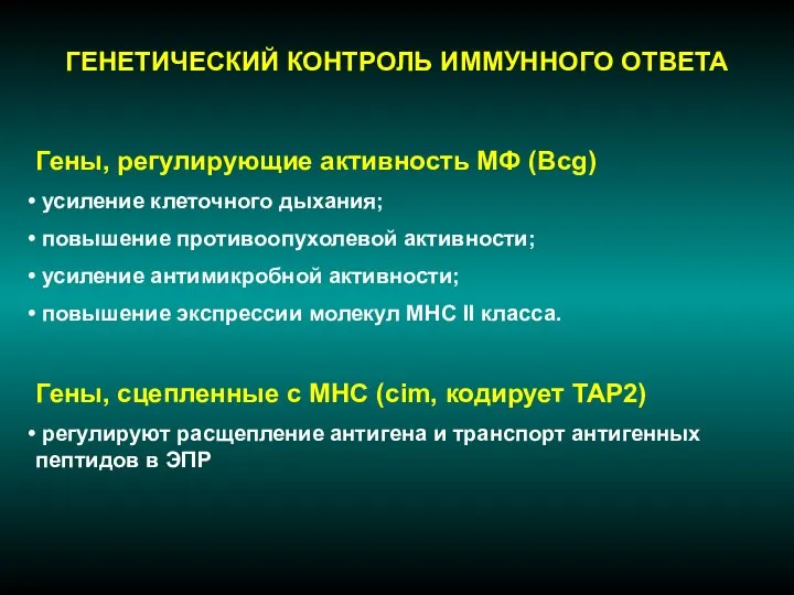 ГЕНЕТИЧЕСКИЙ КОНТРОЛЬ ИММУННОГО ОТВЕТА Гены, регулирующие активность МФ (Bcg) усиление клеточного