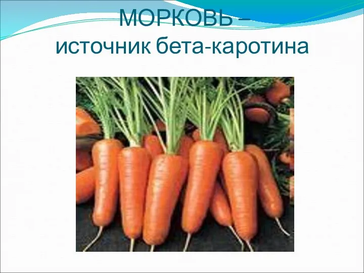 МОРКОВЬ – источник бета-каротина