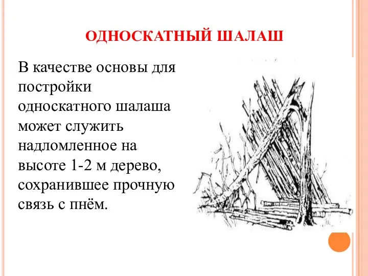 ОДНОСКАТНЫЙ ШАЛАШ В качестве основы для постройки односкатного шалаша может служить