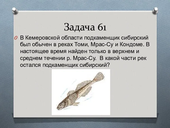 Задача 61 В Кемеровской области подкаменщик сибирский был обычен в реках