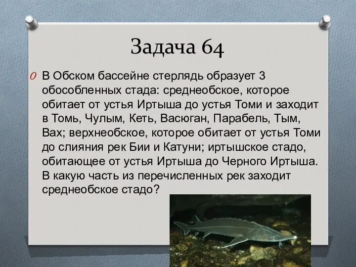 Задача 64 В Обском бассейне стерлядь образует 3 обособленных стада: среднеобское,