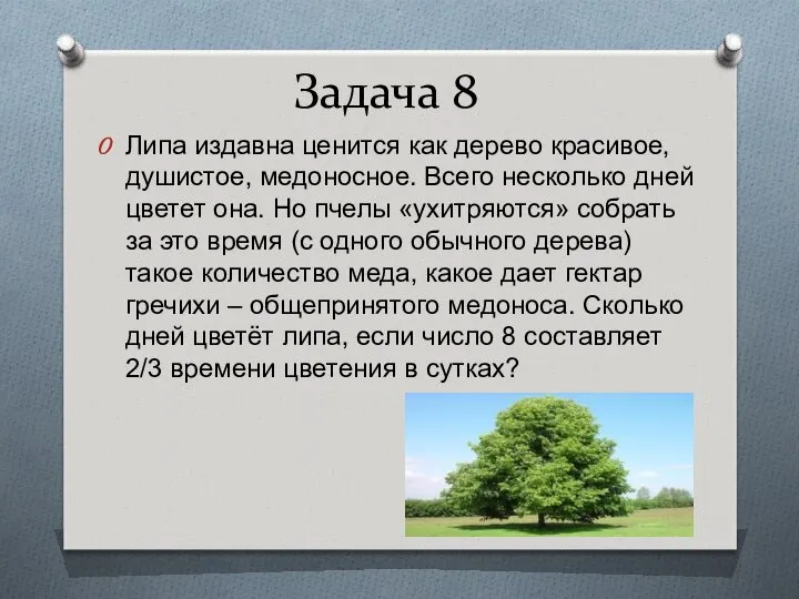 Задача 8 Липа издавна ценится как дерево красивое, душистое, медоносное. Всего