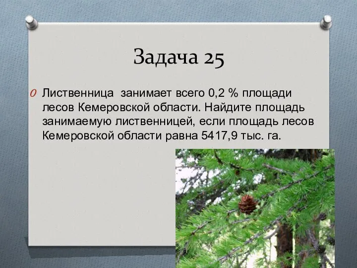 Задача 25 Лиственница занимает всего 0,2 % площади лесов Кемеровской области.