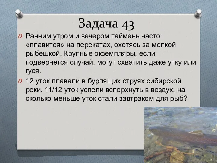 Задача 43 Ранним утром и вечером таймень часто «плавится» на перекатах,