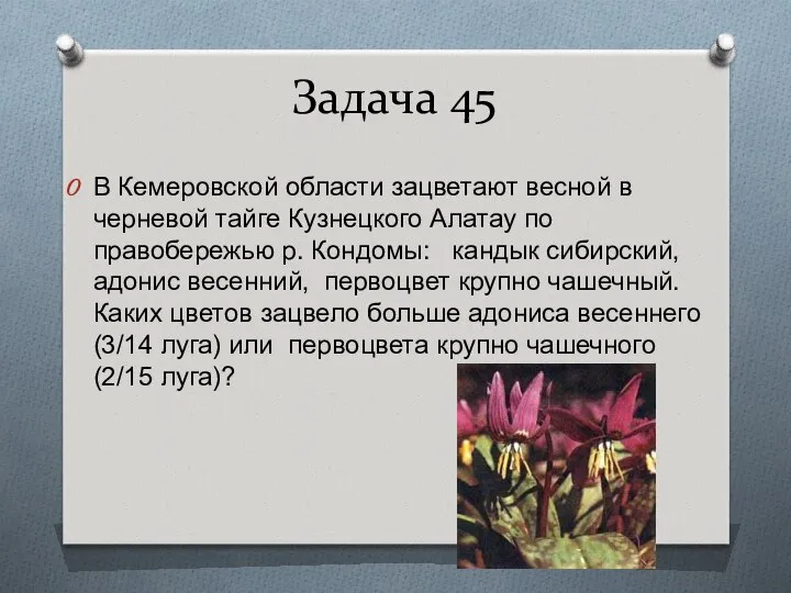 Задача 45 В Кемеровской области зацветают весной в черневой тайге Кузнецкого