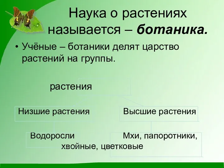 Наука о растениях называется – ботаника. Учёные – ботаники делят царство