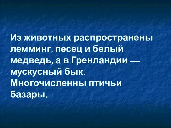 Из животных распространены лемминг, песец и белый медведь, а в Гренландии