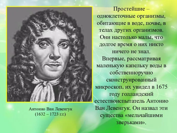 Простейшие – одноклеточные организмы, обитающие в воде, почве, в телах других