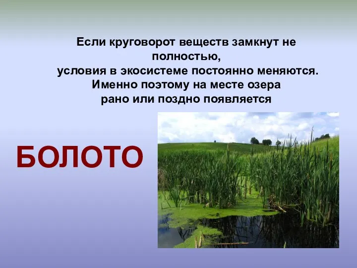 Если круговорот веществ замкнут не полностью, условия в экосистеме постоянно меняются.